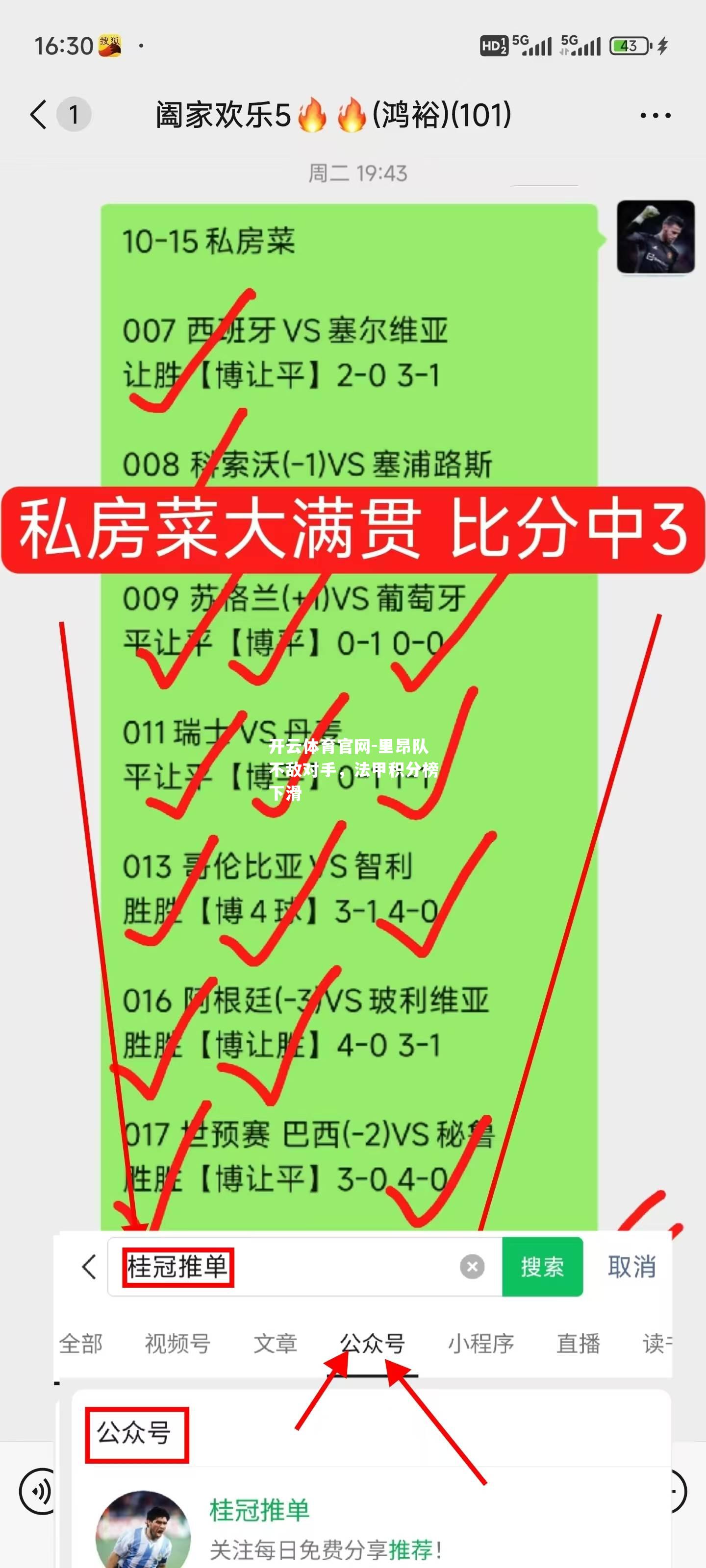 里昂队不敌对手，法甲积分榜下滑